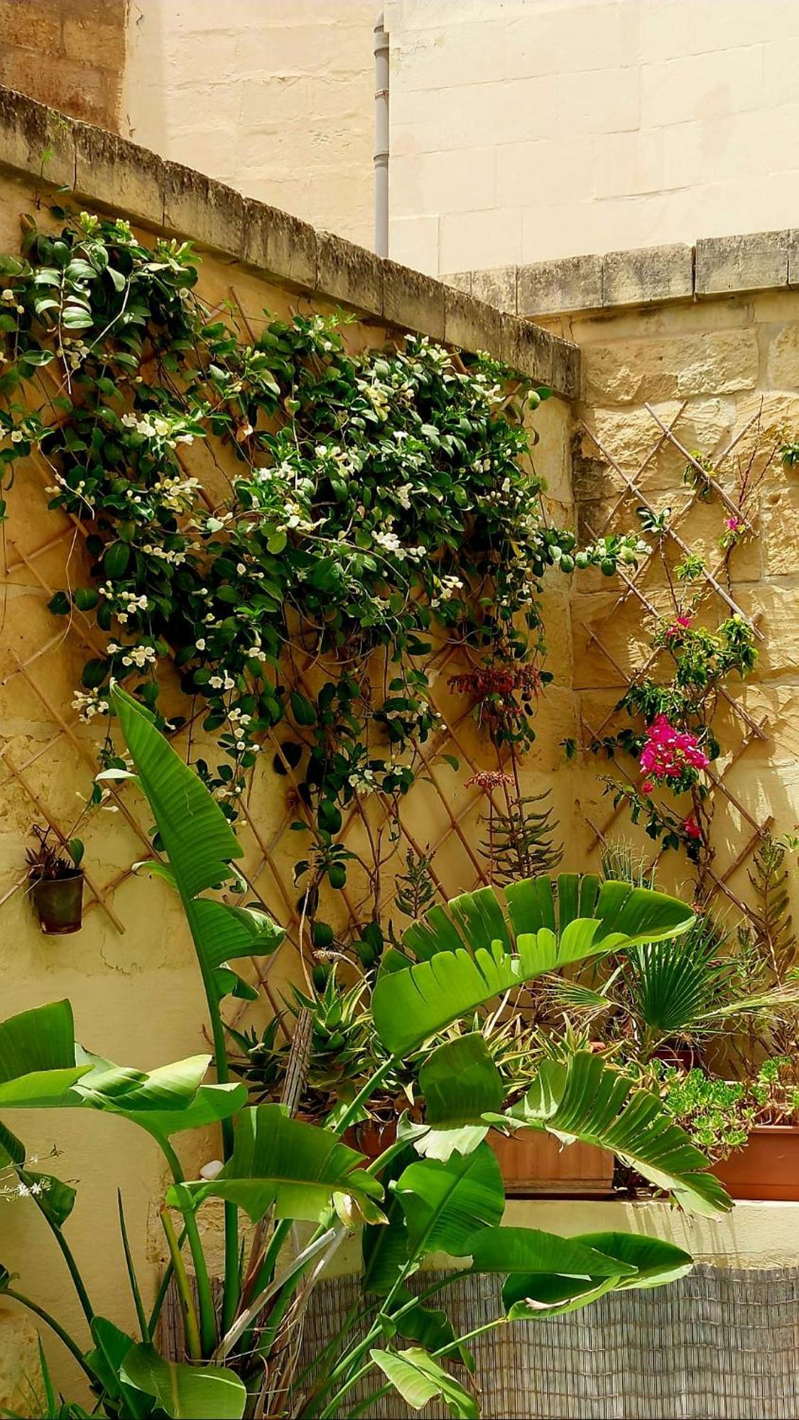 Ta' Didi B&B Kerċem Exteriér fotografie