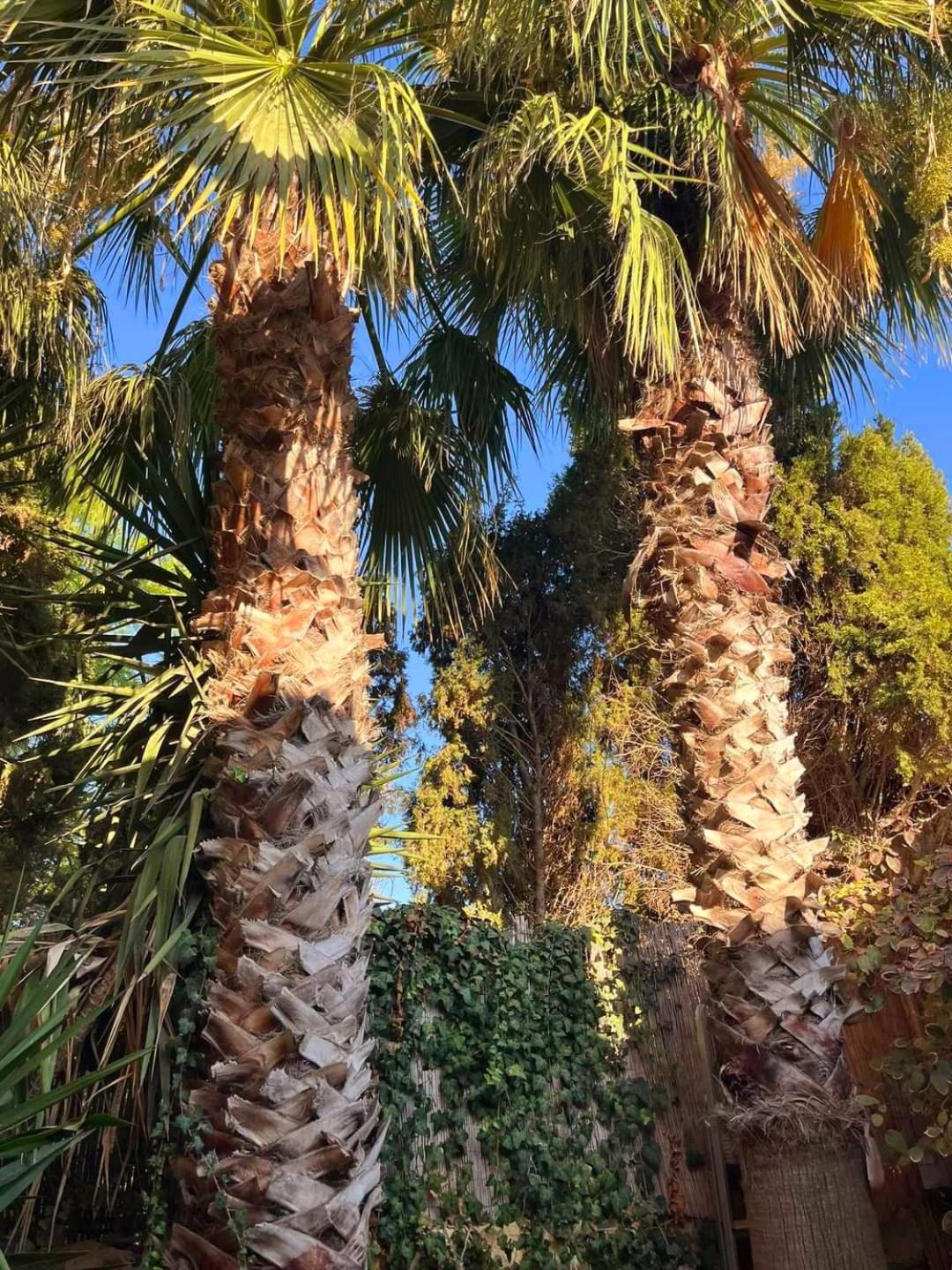 Ta' Didi B&B Kerċem Exteriér fotografie