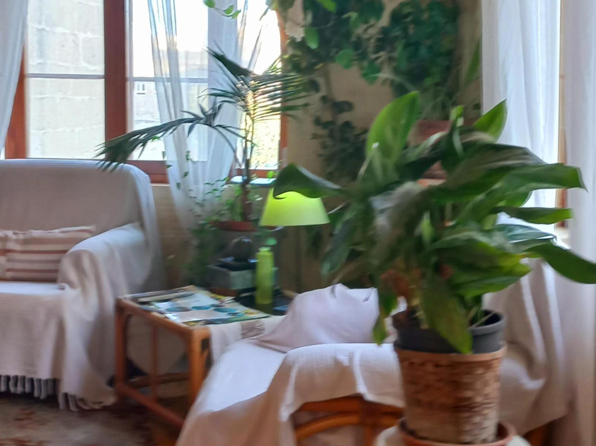 Ta' Didi B&B Kerċem Exteriér fotografie